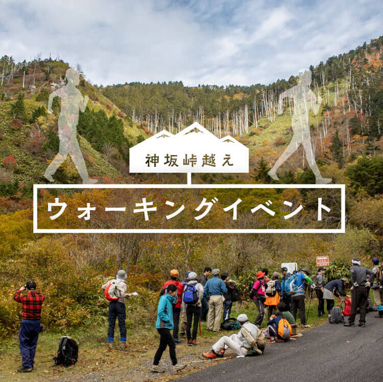 東山道 神坂峠越え ウォーキングイベント