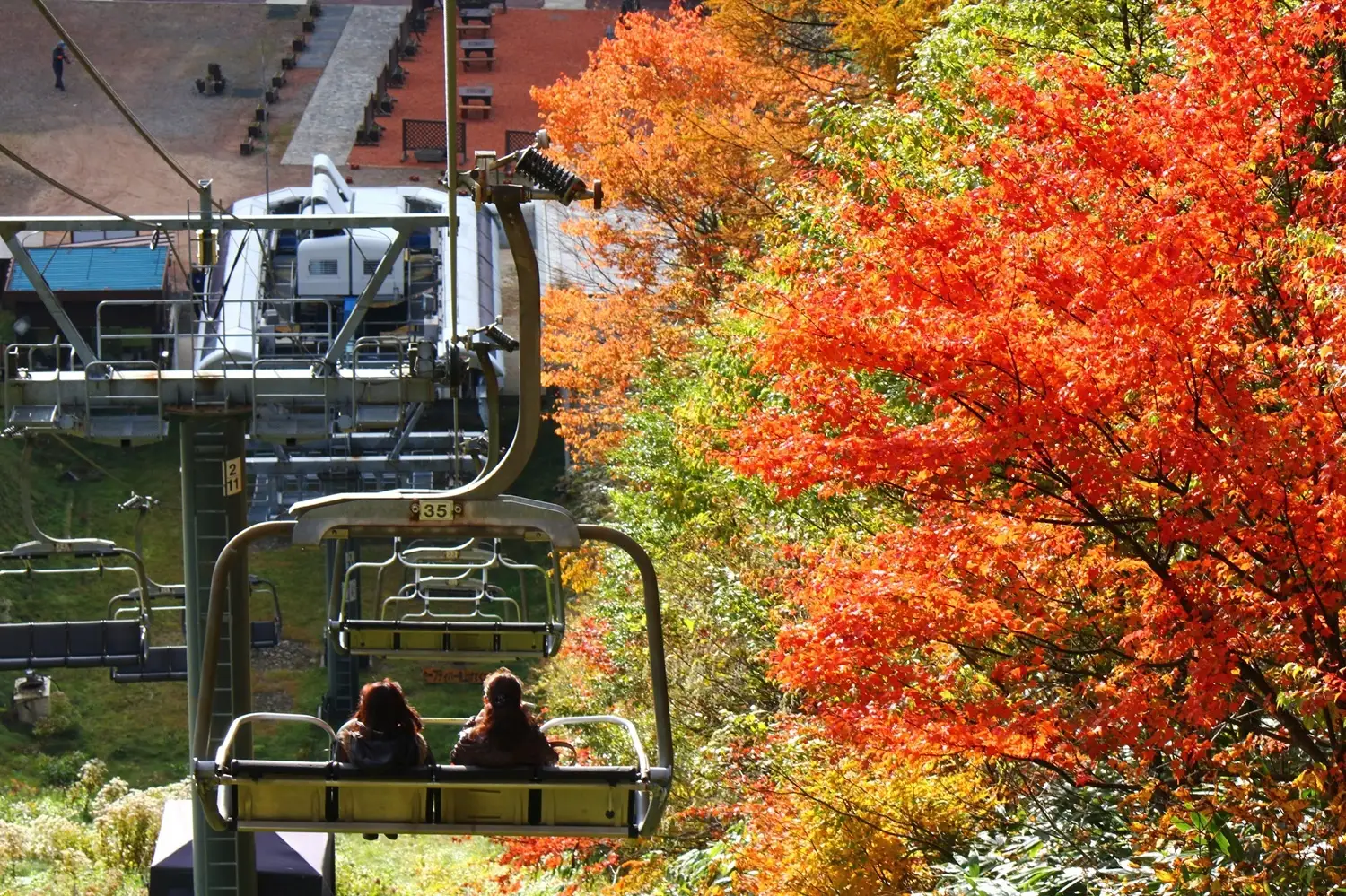 紅葉の中を進む展望台リフト
